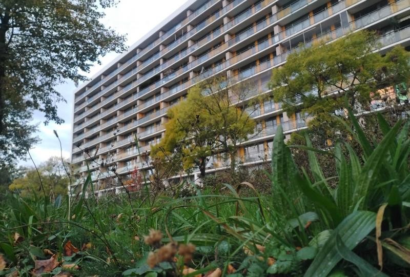 Samen werken aan de buurttuin