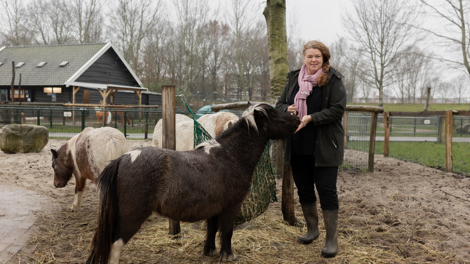 ‘Op nieuwjaarsdag ga ik vuurwerkresten van de grond rapen. Ik moet er niet aan denken dat mijn dieren het opeten’