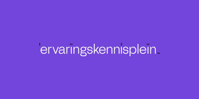 Ervaringskennisplein