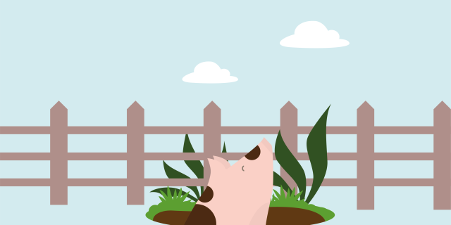 SamenDieren