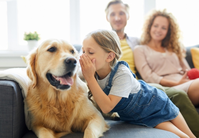 Een veilig thuis voor dieren